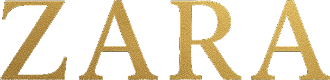 Zara Soluções Contábeis e Financeiras Logo